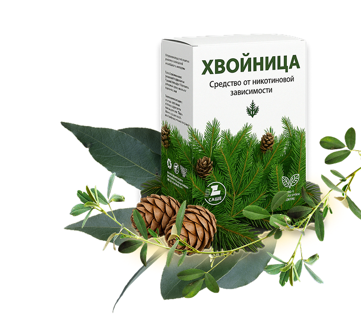 Хвойница